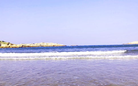 大海的五年级作文