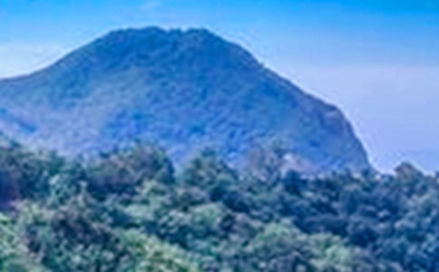 大山的悲剧初二优秀作文