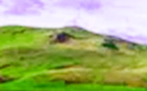 我心中的那一座大山初二作文600字