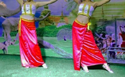 傣族的民风民俗作文7篇