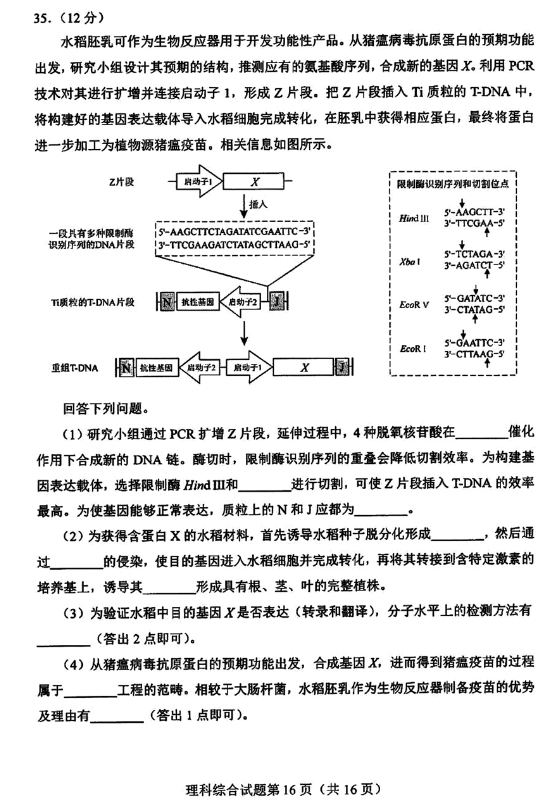 2024新高考九省联考理综试题打印