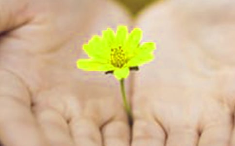 迟来的道歉六年级优秀作文