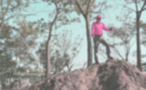 我们的登山作文范文