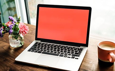 有了电脑真方便五年级作文