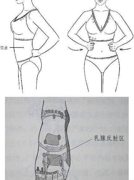 简笔画最可爱的乳头