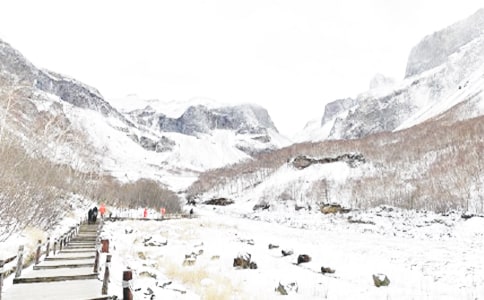 梦一般的冬季小学四年级作文