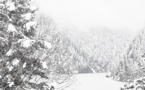 冬季里的悲歌高三作文