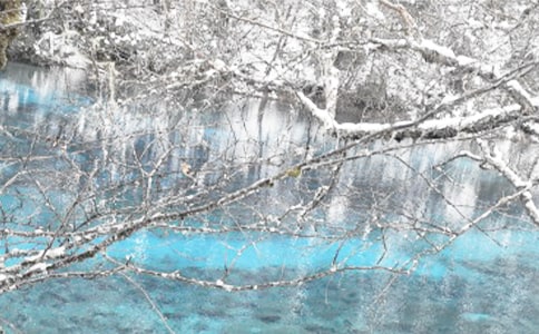 在寒冷的冬季也有暖意高一作文