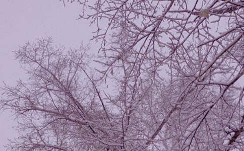 冬日里的一抹暖阳初一作文（通用12篇）