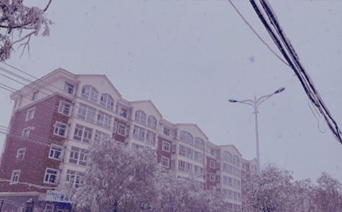 冬日的阳光700字优秀作文