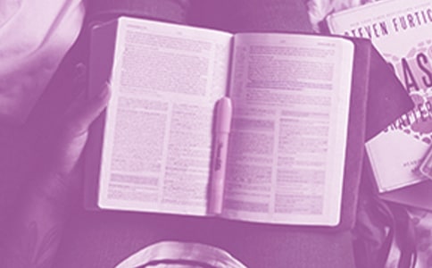 《根鸟》的读后感作文