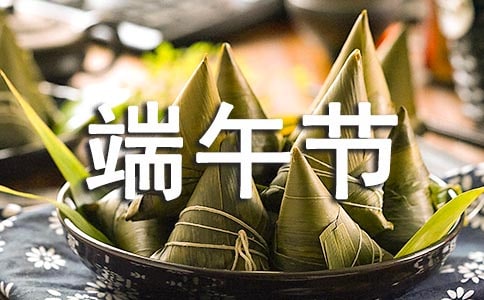 不一样的端午节二年级作文500字