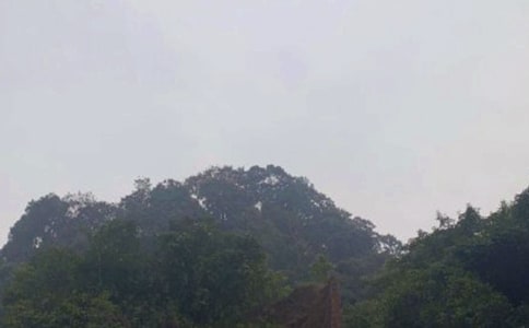 游玩峨眉山三年级作文350字