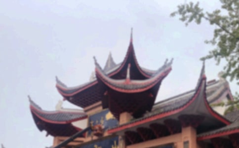 游峨眉山小学六年级作文