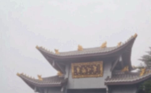 峨眉山戏猴的作文500字