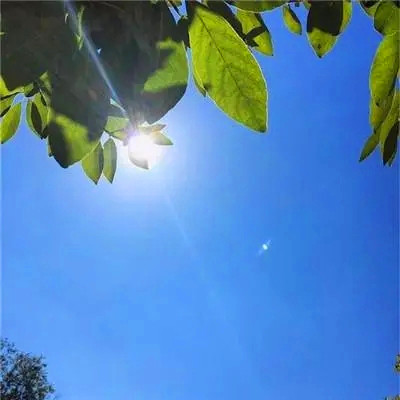 最好运气的微信头像