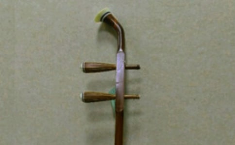 我以二胡为知己初二作文