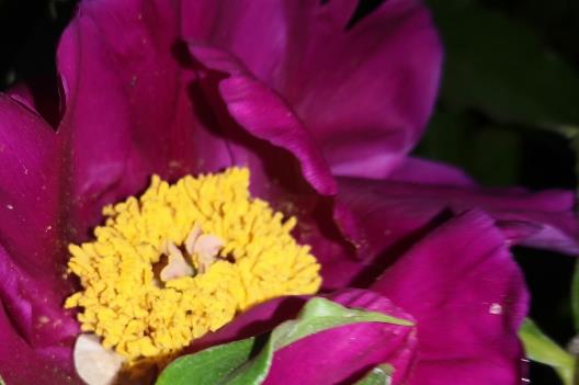 心路宽敞不计较