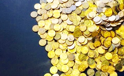 迷你的发财树作文