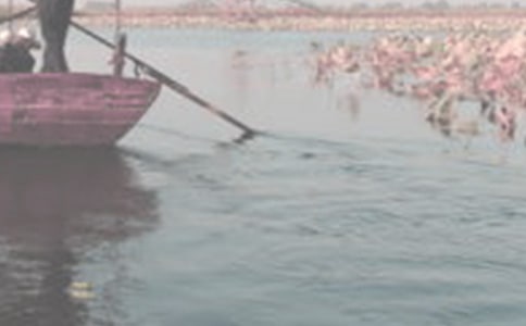 泛舟墨海,书香飘然高二作文