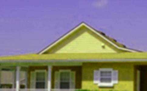 移动的树房子初三作文