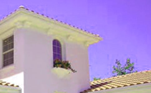 房子环境四年级作文