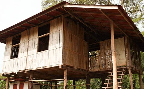 老房子的高二作文