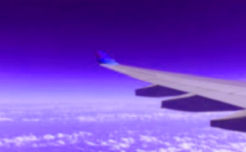 第一次坐飞机的初中作文