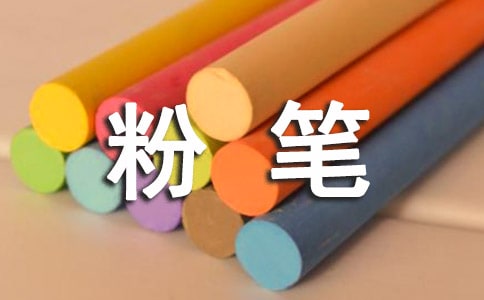 粉笔的自述初二作文400字