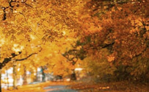 风景旧曾谙高二作文