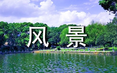 乡村风景四年级作文550字