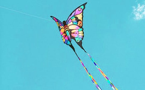 感恩牵引风筝的线优秀作文700字