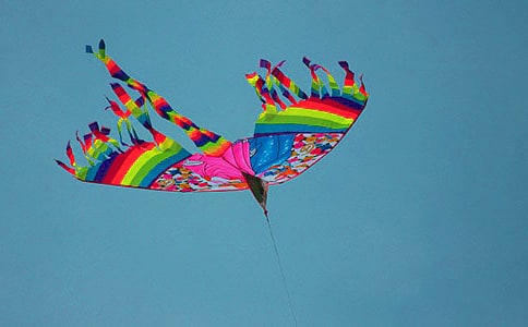 艰难放风筝六年级作文