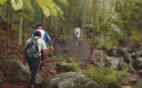 【实用】爬山的日记4篇