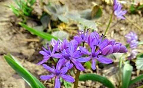 通用每日一句早安心语（精选105句）