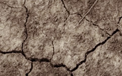 有关云南干旱的作文范文