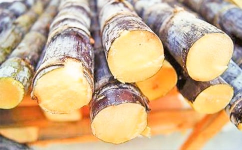 关于甘蔗的初二作文