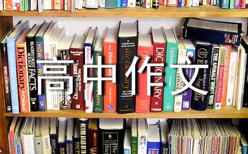 麦子的人生高中作文