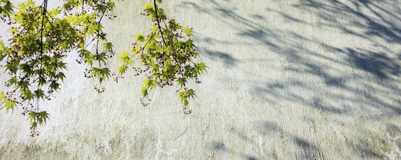 韩愈简介