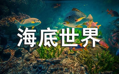 【精选】海底世界的作文300字43篇