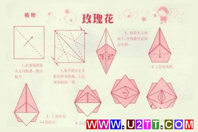 简单折纸100种花的折法贺卡 100种贺卡