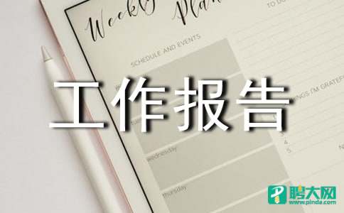 镇城建规划办年度工作报告