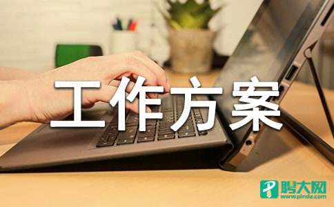 实用的工作方案模板汇编6篇