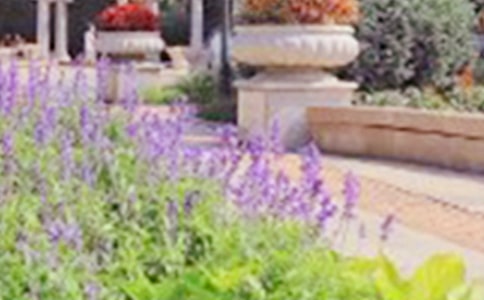 厦门海湾公园的作文精选