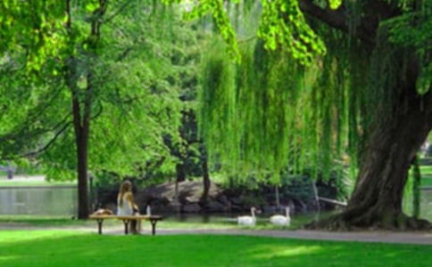 公园四年级作文