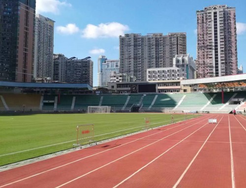 特别暖心的早安问候语短句