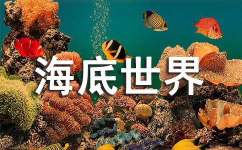 海底世界二年级优秀作文