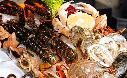 大连海鲜作文