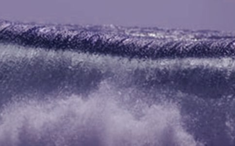 为印度洋海啸灾区捐款六年级作文