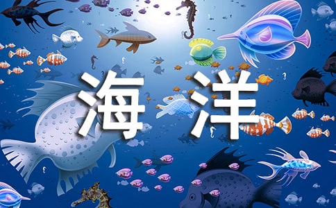 难忘的海洋馆之游作文450字